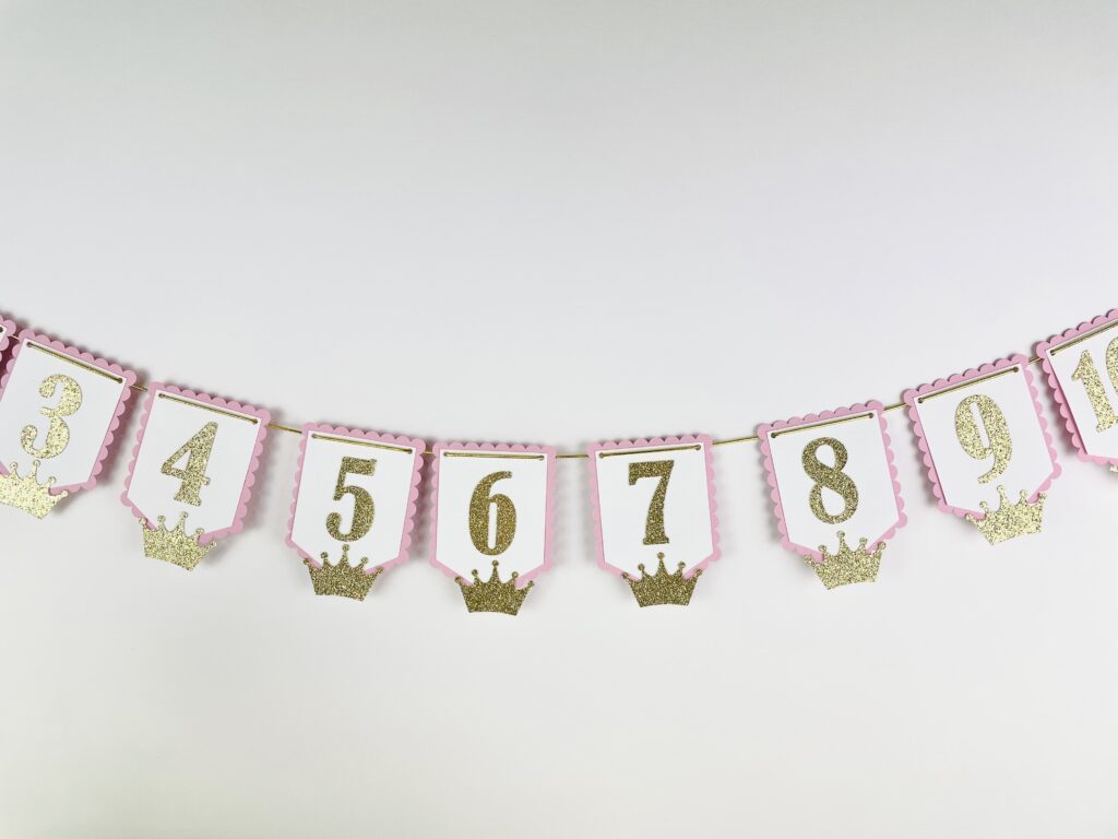 PRINCESS First Year PICTURE BANNER, Milestone Photo Holder