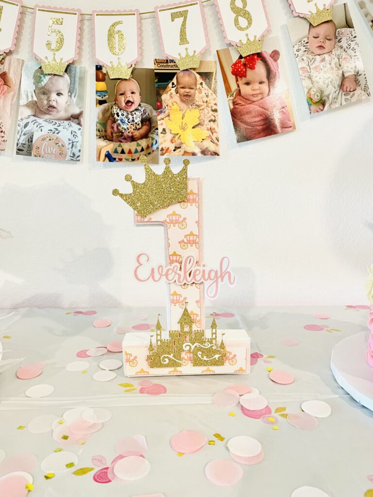 PRINCESS First Year PICTURE BANNER, Milestone Photo Holder