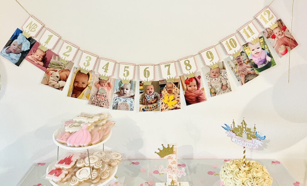 PRINCESS First Year PICTURE BANNER, Milestone Photo Holder