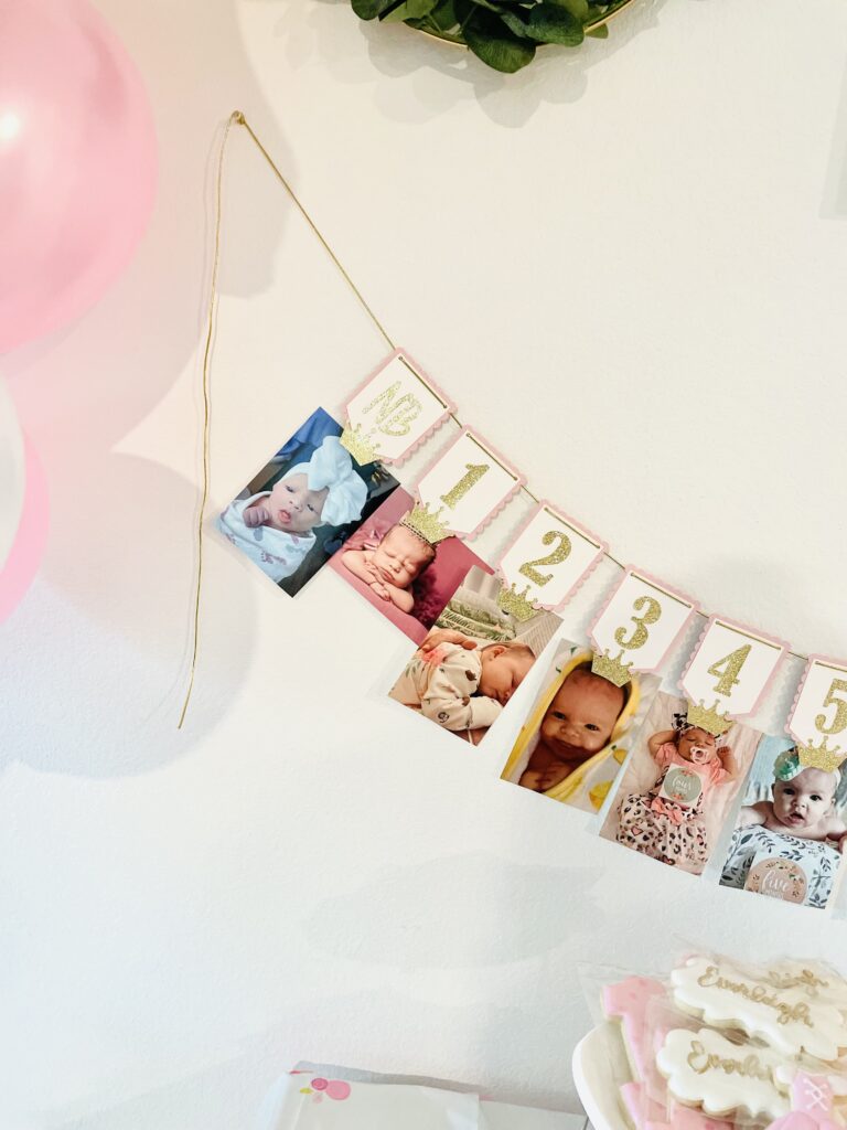 Close up PRINCESS First Year PICTURE BANNER, Milestone Photo Holder